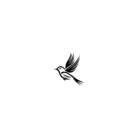 Zipora Group logo - Similar company to Scayul