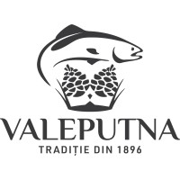 VALEPUTNA logo - Similar company to Rawdia