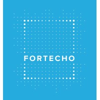 FORTECHO SOLUTIONS LIMITED logo - Similar company to Fortecho Llc