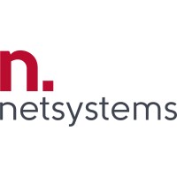 Netsystems logo - Similar company to Advantek Systems Ltd