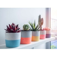 Madras Planters - Pot shop | Desktop Pots | Designer Pots | Ceramic | Clay Planters for table top logo - Similar company to Uncle Ike’S Pot Shop