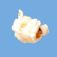 Golden Popcorn Ltd logo - Similar company to Weaver Popcorn