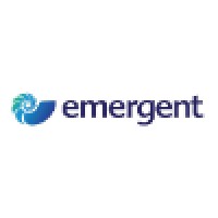 Emergent Asset Management