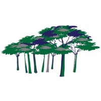 Jomon Investment Management logo - Similar company to Ideg