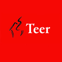 Teer logo - Similar company to Croon Makelaars