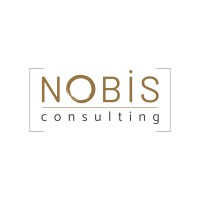 Nobis Consulting logo - Similar company to Pro-Lance