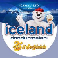 CAMAL LTD ( İCELAND ) logo - Similar company to Smart Research Solutions