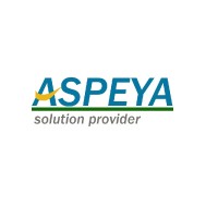 Aspeya Infotech logo - Similar company to Neolysi Technologies