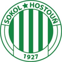 Sokol Hostouň, z. s. logo - Similar company to Zš Ústí Nad Labem