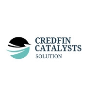 CREDFIN CATALYSTS SOLUTION logo - Similar company to Credfin Services Private Limited
