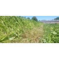 Loonbedrijf van Geresteijn BV logo - Similar company to Erosion Control Systems