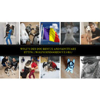 Wolf's Den Dog Rescue and Sanctuary logo - Similar company to White Wolf Sanctuary