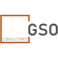 GSO Consultores - Wellive logo - Similar company to Big Talent Chile