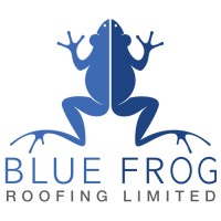 Blue Frog Roofing Limited logo - Similar company to Dynamic National