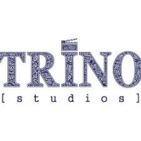 Trino Studios logo - Similar company to Tojo Ltd