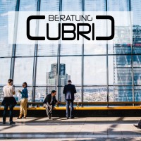 CUBRIC Beratung logo - Similar company to Climowool Gmbh