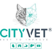 CityVet logo - Similar company to Vetro Solutions