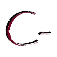 CarbonNegative OÜ logo - Similar company to Sponsor