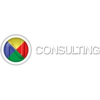 N Consulting Global logo - Similar company to Natobotics