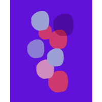 UVA Digital logo - Similar company to D2Scale