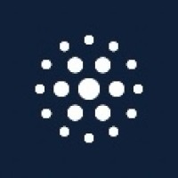 Naltilia logo - Similar company to Copilex