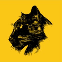 ANGOLA BLACK PANTHER Group | Engenharia, Construção e Sustentabilidade logo - Similar company to Cloud77