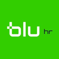 Blu HR logo - Similar company to Blu Solutions