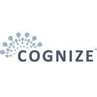 Cognize Inc. logo - Similar company to Cognaize