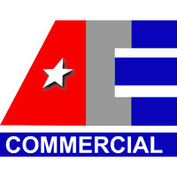 ACE Commercial logo - Similar company to American Team Managers Insurance Services