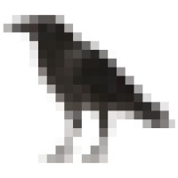 Pixelated Crow Limited
