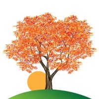 Hillview Mental Health Counseling PLLC logo - Similar company to Harmonia Collaborative Care