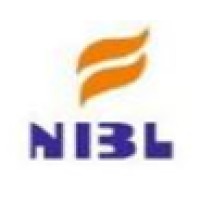 Novelty Insurance Brokers Ltd logo - Similar company to The Ancon Group, Llc