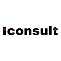 iConsult Software logo - Similar company to Skybridge Creative Agency