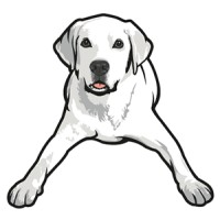 Tucker Pup's Pet Resort logo - Similar company to Hidden Acres Pet Resort
