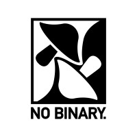 No Binary logo - Similar company to Nevenskill