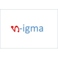 N-Igma Consultants