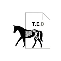 The Equine Documentalist logo - Similar company to Via Nova Training