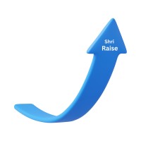 Shri Raise Digital logo - Similar company to Digivedas