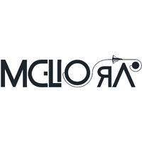 MELIORA logo - Similar company to Aate