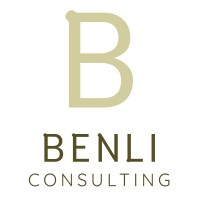 BENLI CONSULTING logo - Similar company to Benli̇ Mi̇marlik
