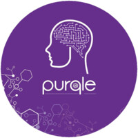 Purqle LLC. logo - Similar company to Pathfinder Solutions, Llc