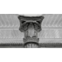 ADVN | archief voor nationale bewegingen logo - Similar company to Advn