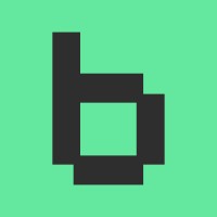 Bimaxpro logo - Similar company to Vissum Ltd