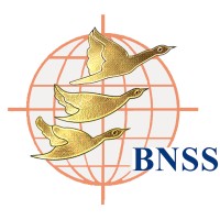 Blue Nile Software Systems Private Ltd. logo - Similar company to Blue Nile Software Systems