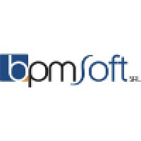 Bpmsoft logo - Similar company to Willo