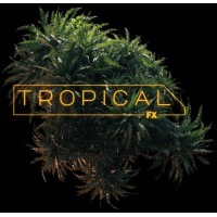 TROPICAL FX logo - Similar company to Frames Now