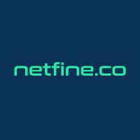 Netfine Vietnam logo - Similar company to Netpower