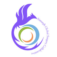 Simurgh Global Surgery Collaborative logo - Similar company to Sadanah Trauma And Surgical Initiative - Stsiglobal