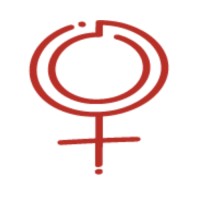 Visionarie logo - Similar company to Superando.It