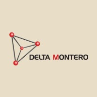 Deltamontero logo - Similar company to Imgroup